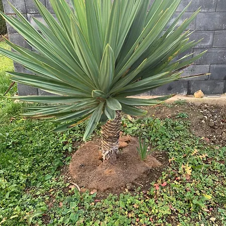 Schone Klimatisierte Apartment *