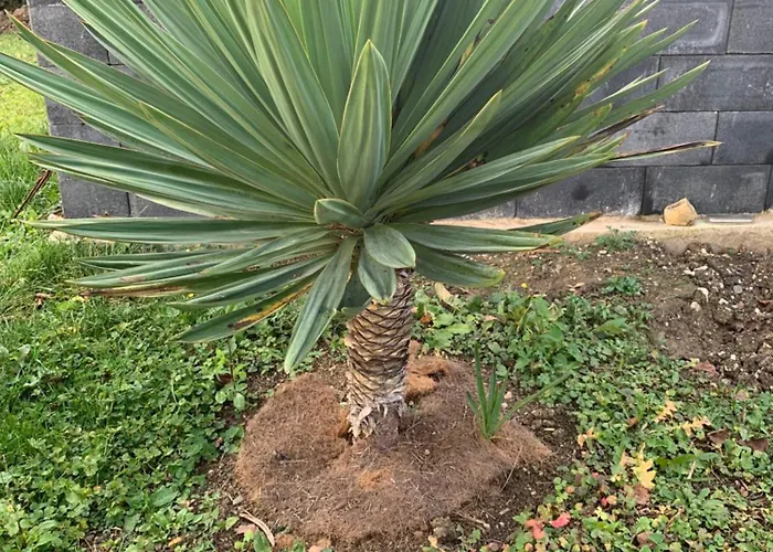 Schone Klimatisierte Διαμέρισμα *